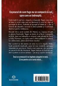 Copertă produs Accidentul
