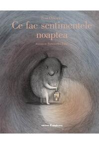 Copertă produs Ce fac sentimentele noaptea