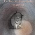 Copertă produs Ce fac sentimentele noaptea - gallery small 