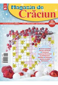 Copertă produs Magazin de Crăciun 2025
