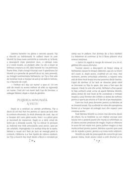 Copertă produs Minunatul ținut al lui Oz