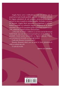 Copertă produs I-am scris lui Brauner un poem