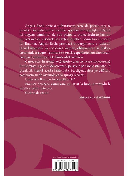 Copertă produs I-am scris lui Brauner un poem - gallery big 2