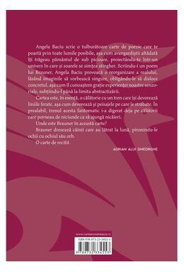 Copertă produs I-am scris lui Brauner un poem