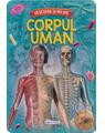 Copertă produs Descopăr și mă joc - Corpul uman - thumb 1