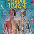 Copertă produs Descopăr și mă joc - Corpul uman - gallery small 