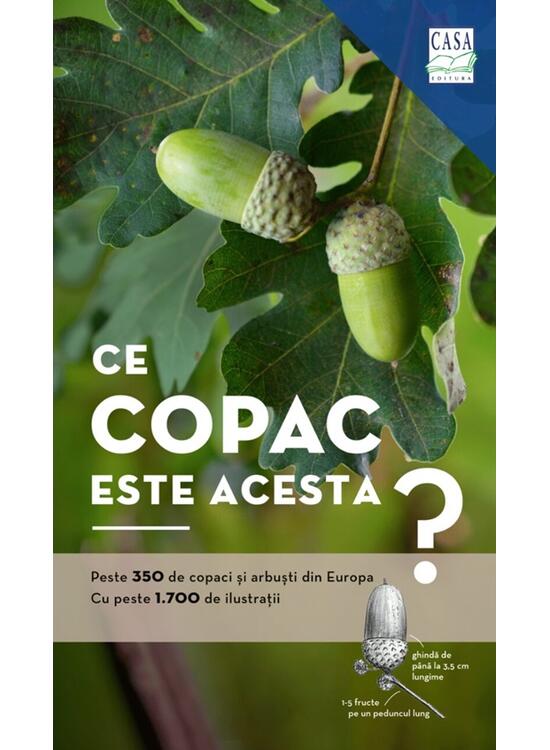 Copertă produs Ce copac este acesta? - gallery big 1