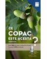 Copertă produs Ce copac este acesta? - thumb 1