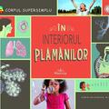 Copertă produs &Icirc;n interiorul plăm&acirc;nilor - gallery small 