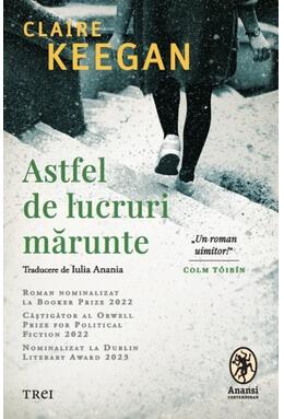 Copertă produs Astfel de lucruri mărunte