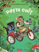 Poșta Chiț