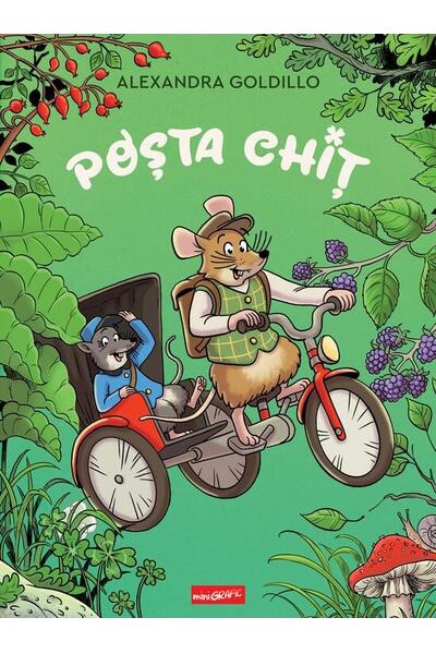 Poșta Chiț