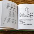 Copertă produs Girafa, Peli și eu - gallery small 