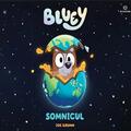 Copertă produs Bluey - Somnicul - gallery small 