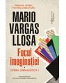 Copertă produs Focul imaginației - thumb 1