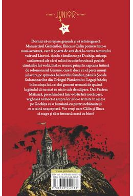 Copertă produs Istoria povestită copiilor. Litovoi şi Școala Solomonarilor (Vol. 4)