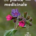 Copertă produs Mic determinator de plante medicinale - gallery small 