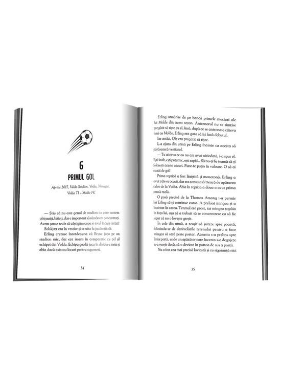 Copertă produs Erling Haaland. Povestiri de pe teren - gallery big 2