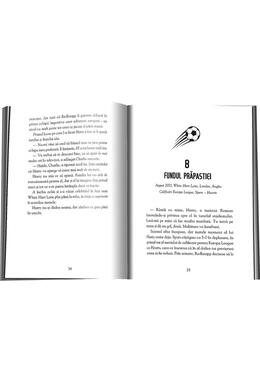 Copertă produs Harry Kane. Povestiri de pe teren
