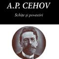 Copertă produs Schițe și povestiri - gallery small 