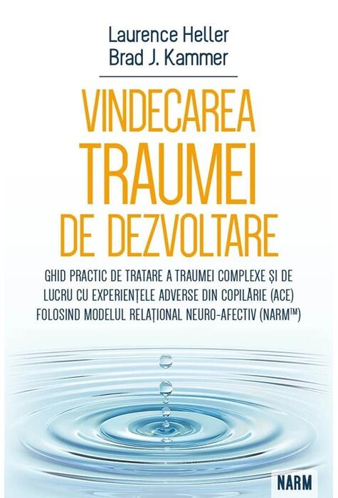 Copertă produs Vindecarea traumei de dezvoltare