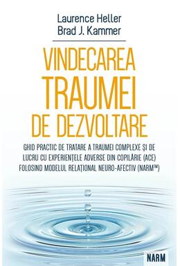 Copertă produs Vindecarea traumei de dezvoltare