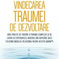 Copertă produs Vindecarea traumei de dezvoltare - gallery small 