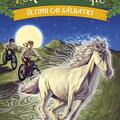 Copertă produs Portalul magic. Ultimii cai sălbatici (Vol. 31) - gallery small 