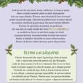 Copertă produs Portalul magic. Ultimii cai sălbatici (Vol. 31) - gallery small 