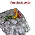 Copertă produs Femeia zepelin - gallery small 