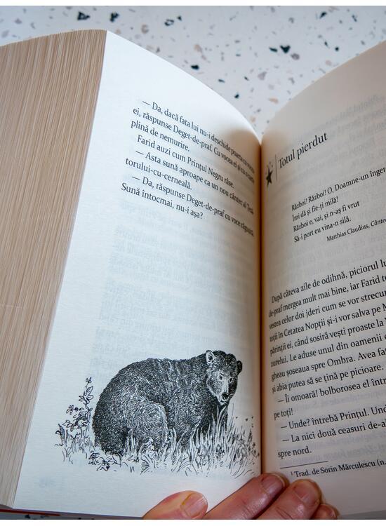 Copertă produs S&acirc;nge de cerneală. Trilogia Lumea de cerneală (Vol. 2) - gallery big 4