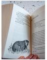Copertă produs S&acirc;nge de cerneală. Trilogia Lumea de cerneală (Vol. 2) - thumb 4