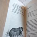 Copertă produs S&acirc;nge de cerneală. Trilogia Lumea de cerneală (Vol. 2) - gallery small 