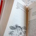 Copertă produs S&acirc;nge de cerneală. Trilogia Lumea de cerneală (Vol. 2) - gallery small 