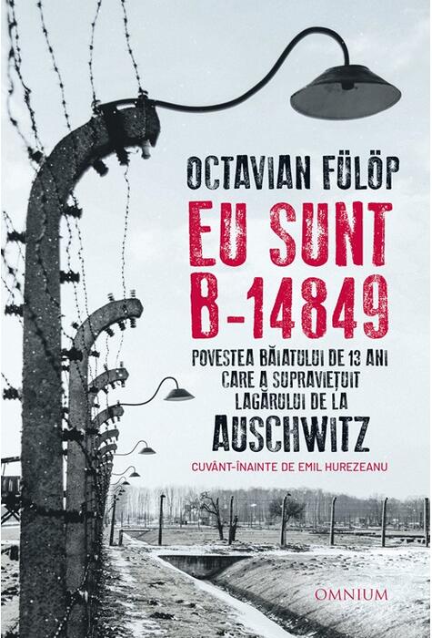 Copertă produs Eu sunt B-14849