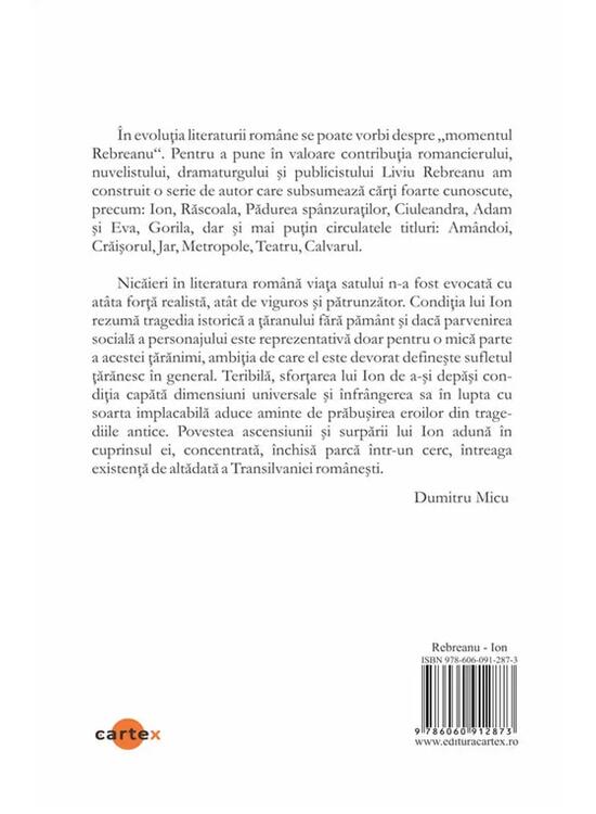 Copertă produs Ion - gallery big 2