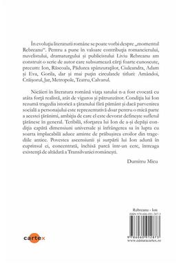 Copertă produs Ion