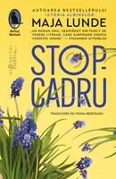 Stop-cadru