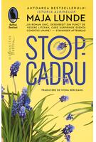Stop-cadru
