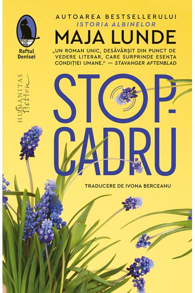 Stop-cadru