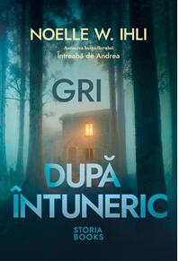 Copertă produs Gri după &icirc;ntuneric