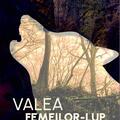 Copertă produs Valea femeilor-lup - gallery small 