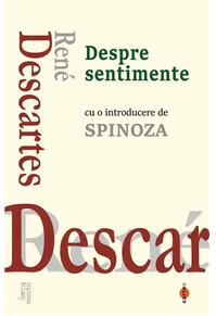 Copertă produs Despre sentimente