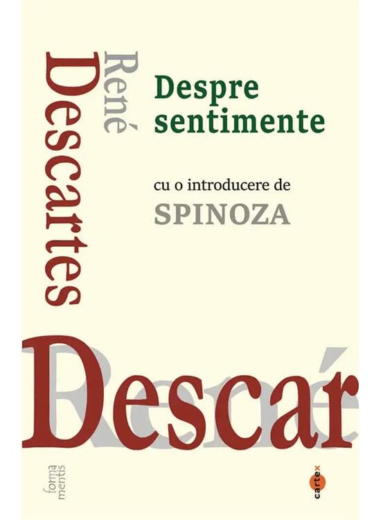 Copertă produs Despre sentimente - gallery big 1