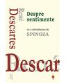 Copertă produs Despre sentimente - thumb 1