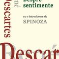 Copertă produs Despre sentimente - gallery small 