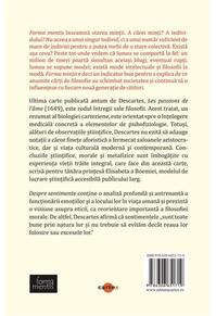 Copertă produs Despre sentimente