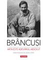 Copertă produs Arta este adevărul absolut - thumb 1
