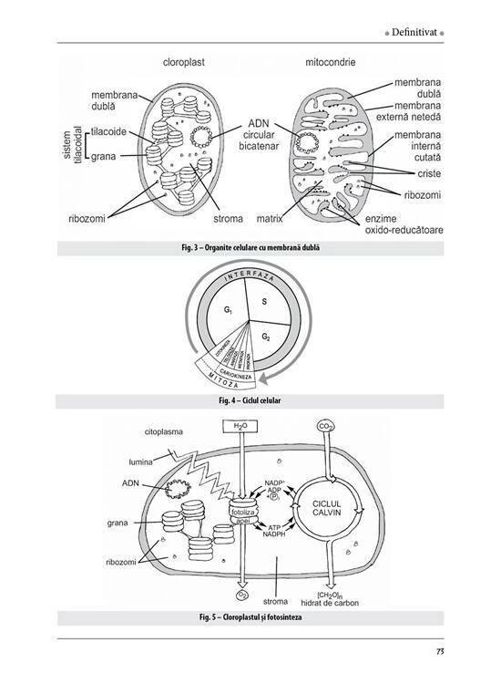 Copertă produs Ghid de pregătire pentru profesorii de biologie - Definitivat - gallery big 4