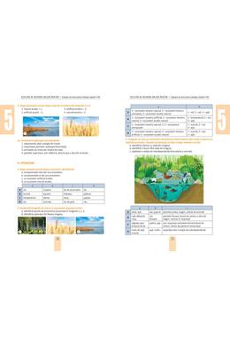 Copertă produs Rezolvăm, ne antrenăm, biologie &icirc;nvățăm! - Culegere de teste pentru biologie clasele V-VIII